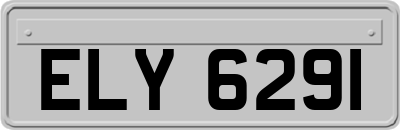 ELY6291