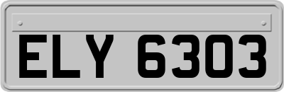 ELY6303