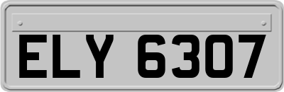 ELY6307