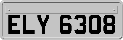 ELY6308