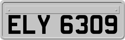 ELY6309