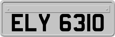 ELY6310