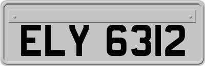 ELY6312