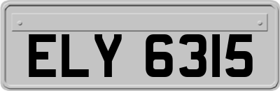 ELY6315