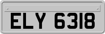 ELY6318
