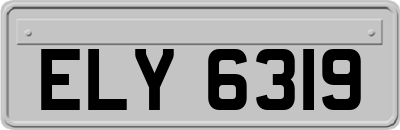 ELY6319