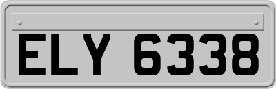 ELY6338