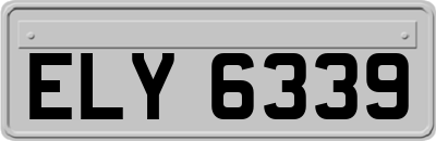 ELY6339
