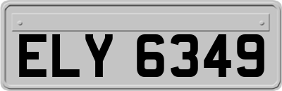 ELY6349
