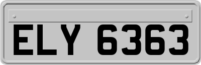ELY6363