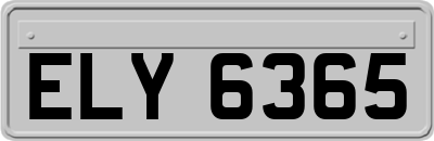 ELY6365