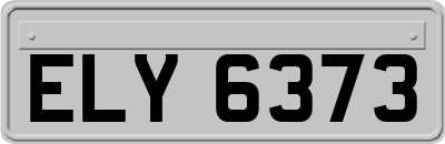 ELY6373