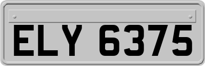ELY6375