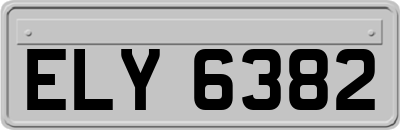 ELY6382