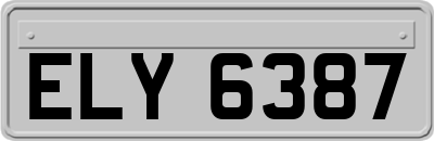 ELY6387