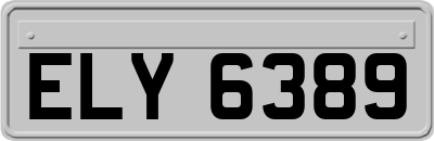 ELY6389