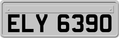 ELY6390