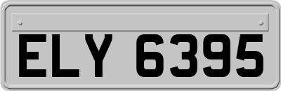 ELY6395