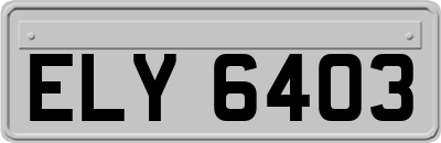 ELY6403