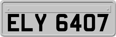 ELY6407