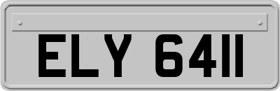 ELY6411
