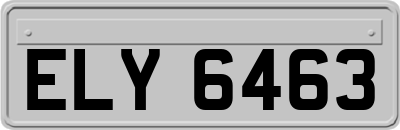 ELY6463