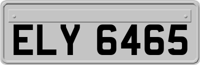 ELY6465