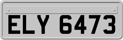 ELY6473