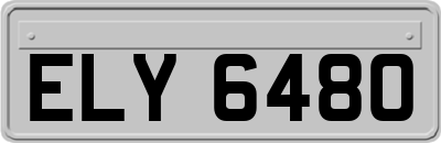 ELY6480