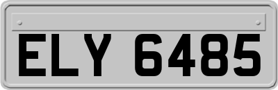 ELY6485