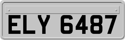 ELY6487