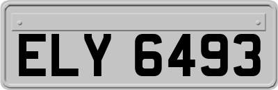 ELY6493