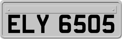 ELY6505