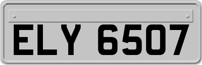 ELY6507