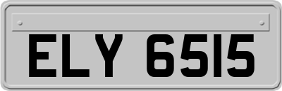 ELY6515