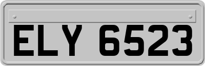 ELY6523