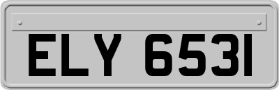 ELY6531