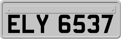 ELY6537
