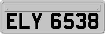 ELY6538