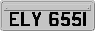 ELY6551