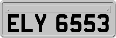 ELY6553