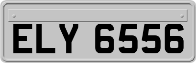ELY6556