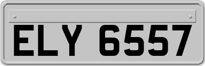 ELY6557