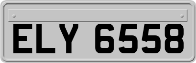 ELY6558