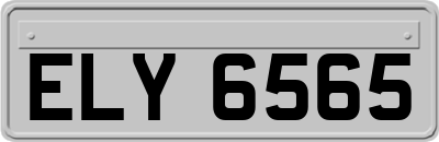 ELY6565