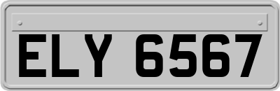 ELY6567