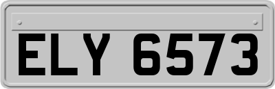 ELY6573
