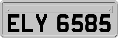 ELY6585