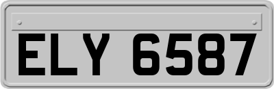 ELY6587