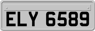 ELY6589